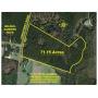 71 +/- Acres Bleckley County, Georgia